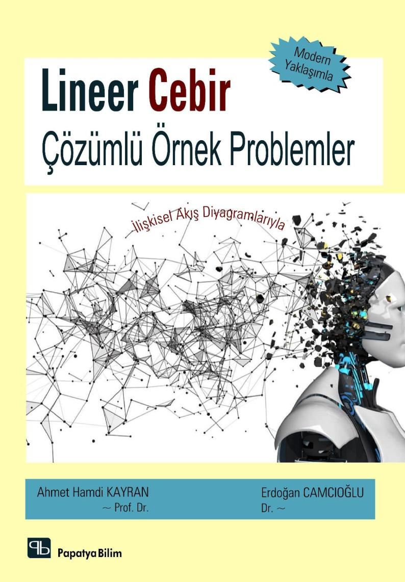 lineer-cebir-cozumlu-ornek-problemler.jpg (124719 bytes)